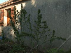 DSCF4851.JPG