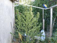 DSCF4845.JPG