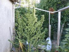 DSCF4844.JPG