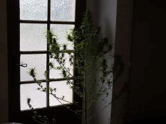 DSCF4798