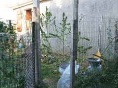 DSCF4847.JPG