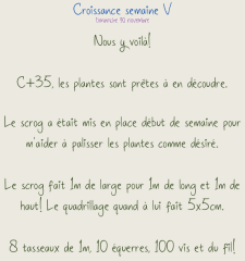 #   copie 10
