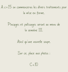 Cro S2 2