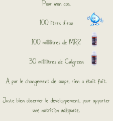 #   copie 6