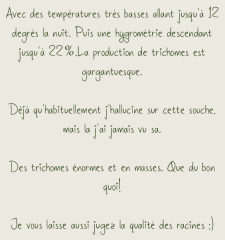 #   copie 11