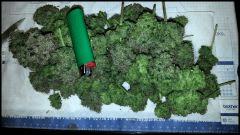 HSO Green Crack #1 cut à flo +73