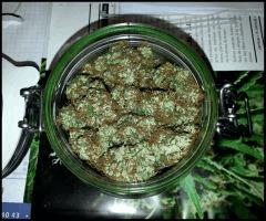 Chemdawg 33.2gr