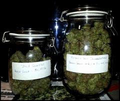 Résultats pour la Rock Lock et les deux Green Crack