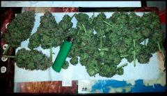 HSO Green Crack #2 cut à flo +74