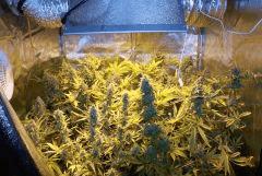 06.01 (10)