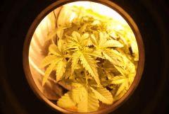 31.10 (10)