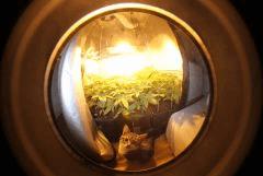 31.10 (9)