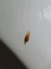 IMG 20141022 154212