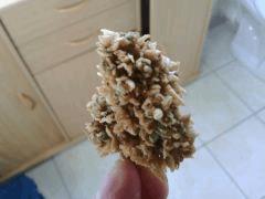 IMG 20141022 153111