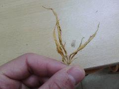 IMG 20141022 153218