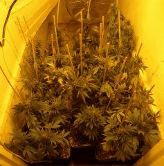 complet Hps On Fin