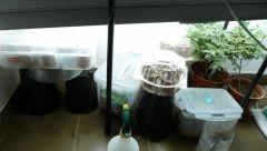 Nurserie