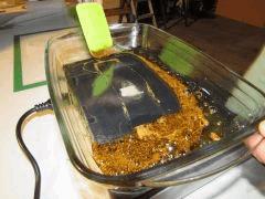 IMG 0377 Cannaweed Redimensioné 2 Mb