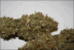 Blue Cheese 4