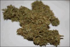 Pineapple Chunk 2