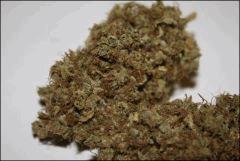 Chemdawg 3