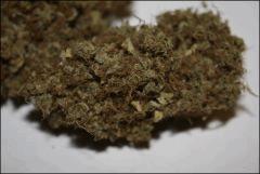 Chemdawg 2