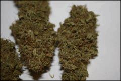 Pineapple Chunk 3