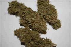 Pineapple Chunk 1