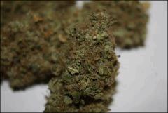 Blue Cheese 2