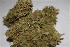 Pineapple Chunk 4