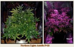 F28 la vieille