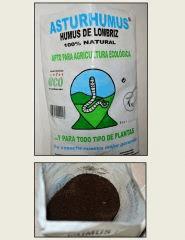Ajout de lombricompost dans mon substrat