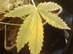 IMG 20141120 000132