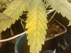 IMG 20141120 000102