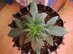 IMG 20150519 090210