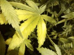 IMG 20141117 235110