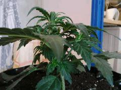 IMG 20150519 090410
