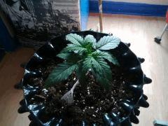 IMG 20150514 093904