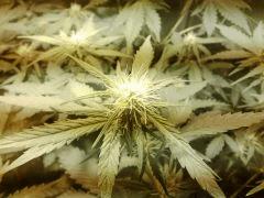 IMG 20141108 231650