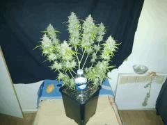 IMG 20141210 194030