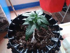 IMG 20150514 093825