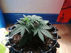 IMG 20150523 124308