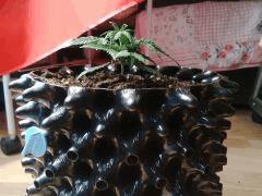 IMG 20150519 115028