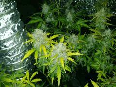 IMG 20141210 181901