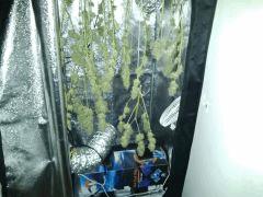 IMG 20141213 202807
