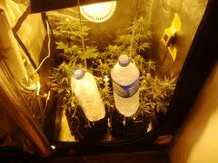 IMG 20150613 181849