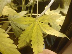 IMG 20141120 000114