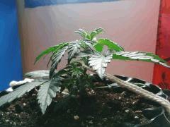 IMG 20150523 124748