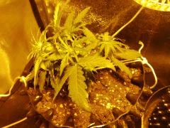 IMG 20150521 192023