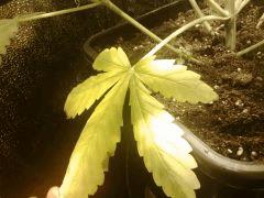 IMG 20141120 000223